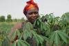 Christian women stands among the leaves of a flourishing cassava crop in Uganda