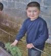 A month’s winter hay for one family’s livestock costs £70 ($95; €85)