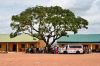 group of African community under a tree with an ambulance