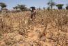 Christian women in Uganda working in a drought-stricken field, surrounded by dead crops.